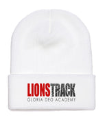 Lions Track Vertical BN