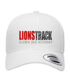 Lions Track Vertical CVCTC